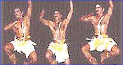 Perini Perini