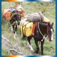Hurunui Horse Treks