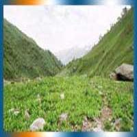 Jungle Trekking in Gajapati