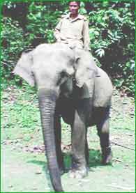Balpakram National Park Balpakram National Park