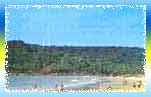 Cavelossim Beach Cavelossim Beach