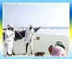 Colva Beach Colva Beach