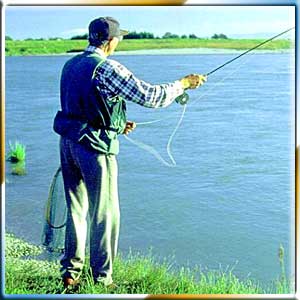 Fishing and Angling	 Tours