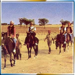 Horse Safari	 Tours