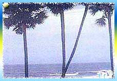 Mypad Beach Mypad Beach