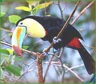 Nagarjunasagar Wildlife Sanctuary Nagarjunasagar Wildlife Sanctuary