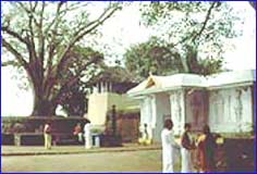 Thirunavaya Temple Thirunavaya Temple
