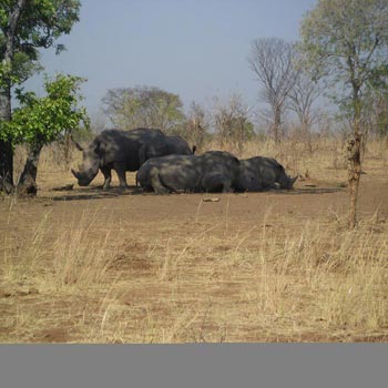 Days Nights Livingstone Victoria Falls Zambia And Chobe