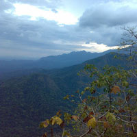 Mysore Coorg Wayanad Tour Holiday Packages To Mysore Coorg