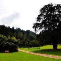 Banglore Mysore Coorg Ooty Kodaikanal Tour Package Holiday