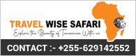 Wise Safari Tanzania Ltd