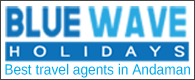 blue waves travel agency