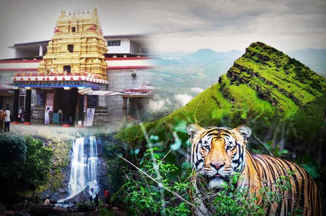 10 Interesting Places to Visit in Chikmagalur
