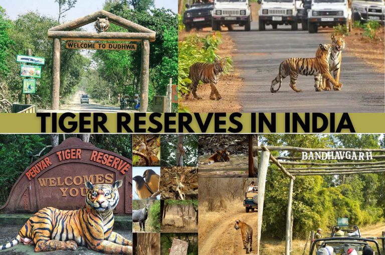 tiger-reserves-in-india