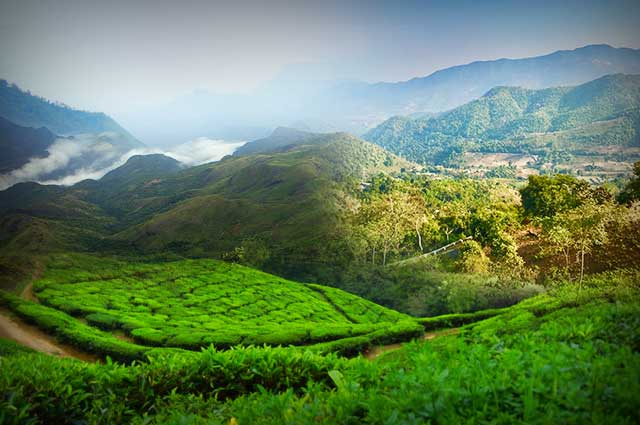 12 Arresting Hill Stations In South India