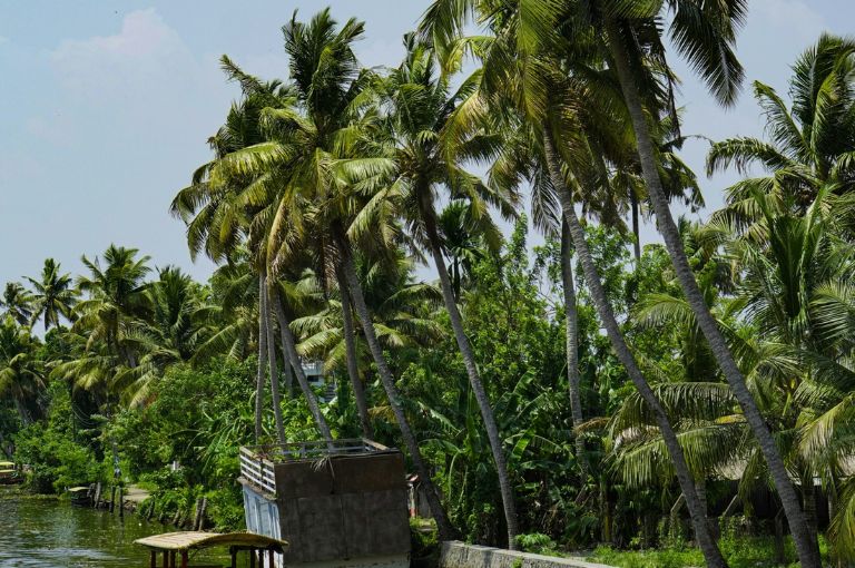 Alleppey