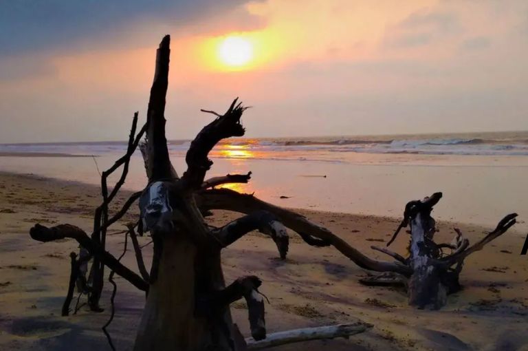 astaranga-beach