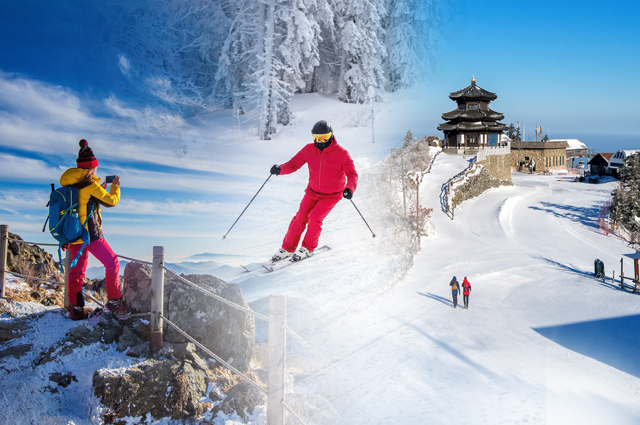 Auli Tour: Discover The Top Places to Visit In Auli