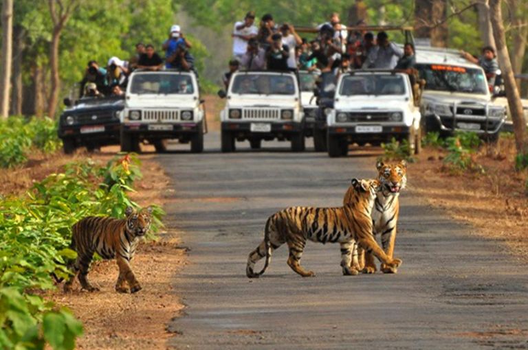 bandipur