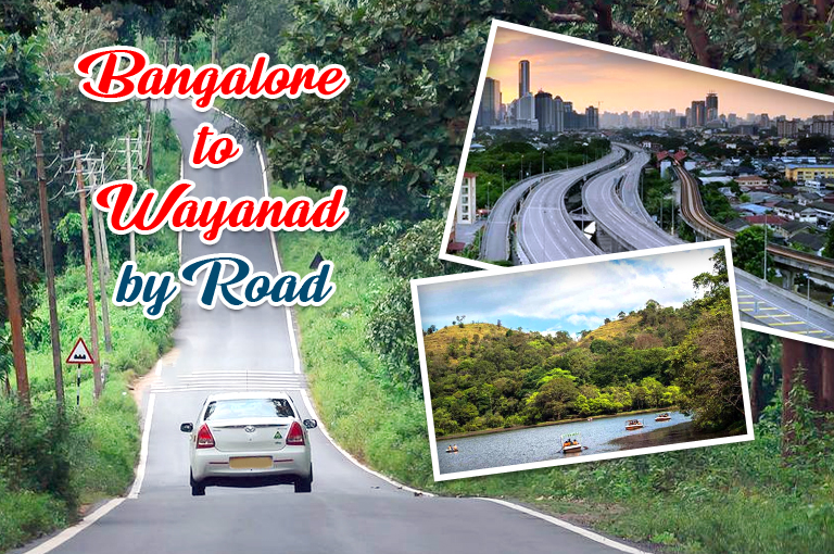 bangalore-to-wayanad-by-road