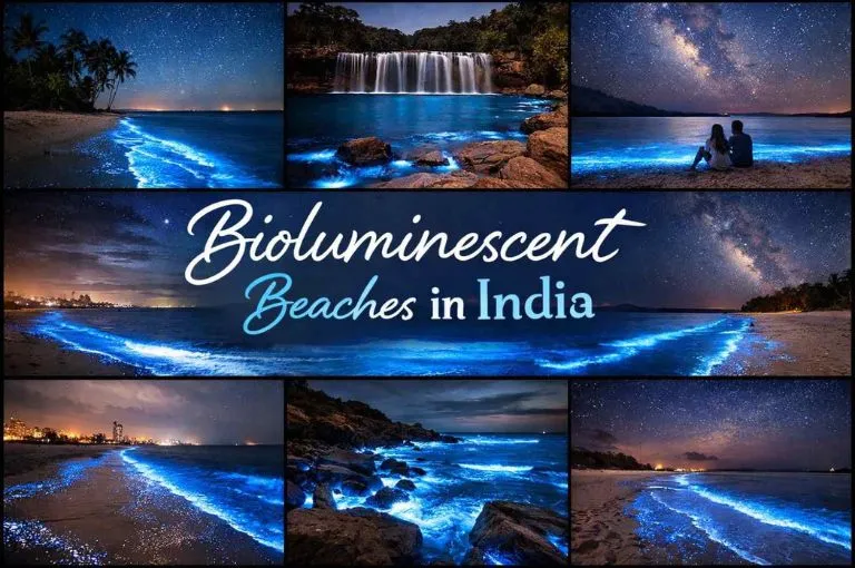 bioluminescent-beaches-in-india