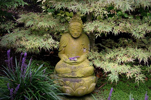 Buddha Garden is the ideal place for couples to spend some quality time