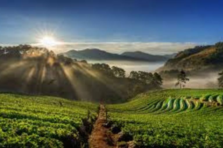 coorg