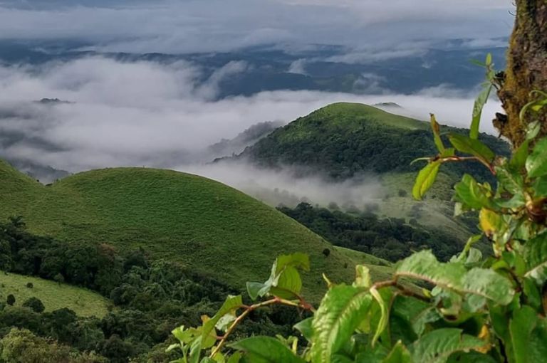 coorg-karnataka