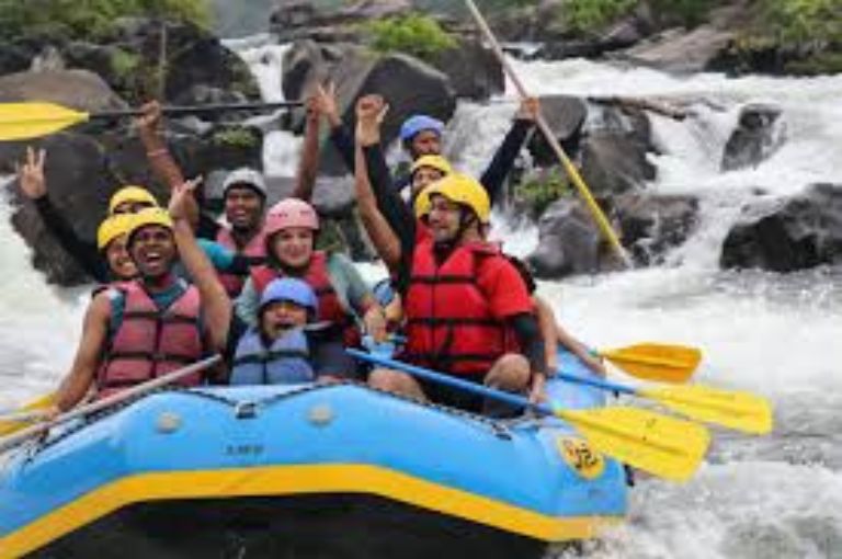 dandeli