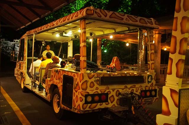 singapore night safari tram time
