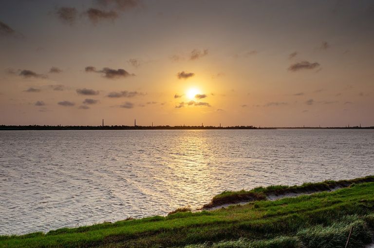 Haldia