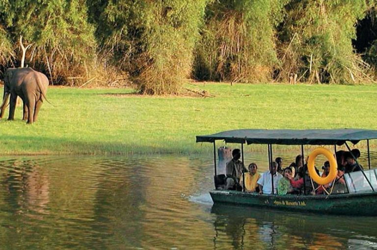 kabini