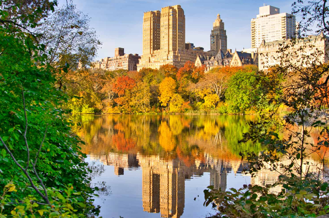 Look Around Central Park On Christmas 2022 at NYC