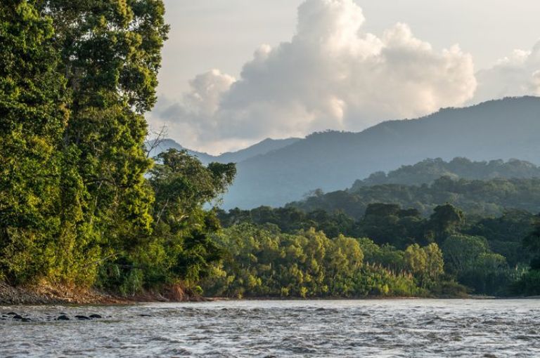 Madidi National Park