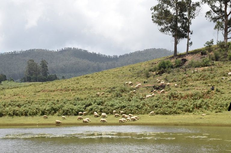 Mannavanur Lake