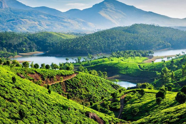 munnar