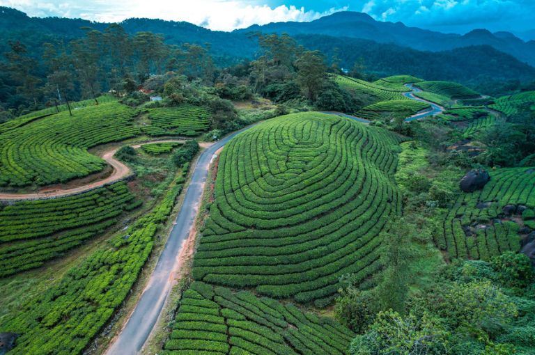 munnar