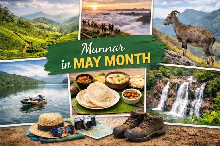 munnar-in-may-month