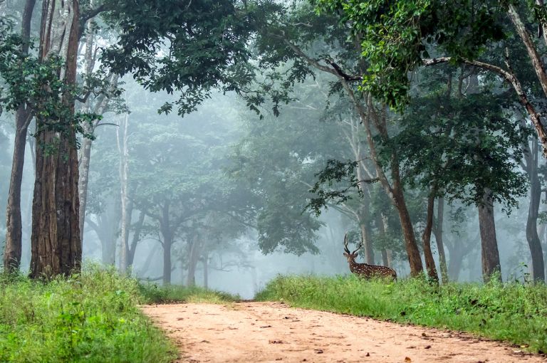nagarhole