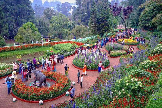 Ooty