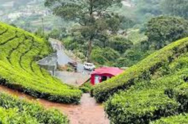 Ooty