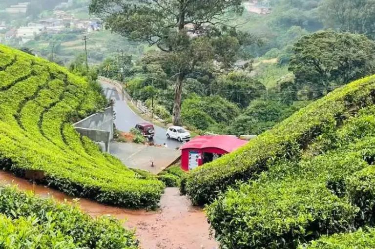 ooty