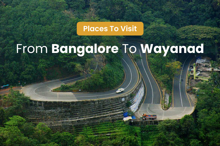 places-to-visit-from-bangalore-to-wayanad