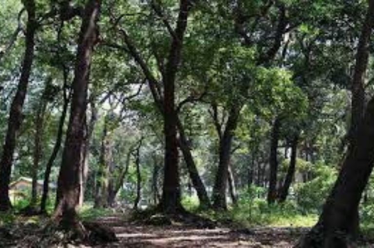 Ryewood Park