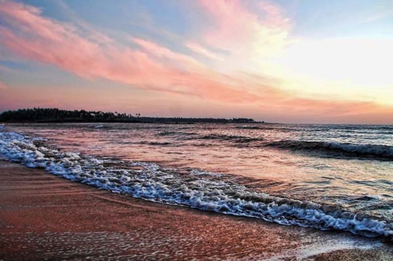 sagar-island