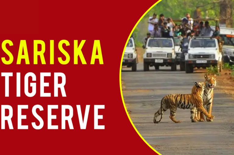Sariska-Tiger-Reserve