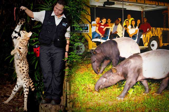 Singapore Night Safari- An Experience In Itself