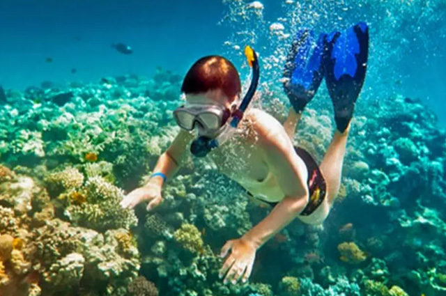 Snorkeling in Andaman Tour