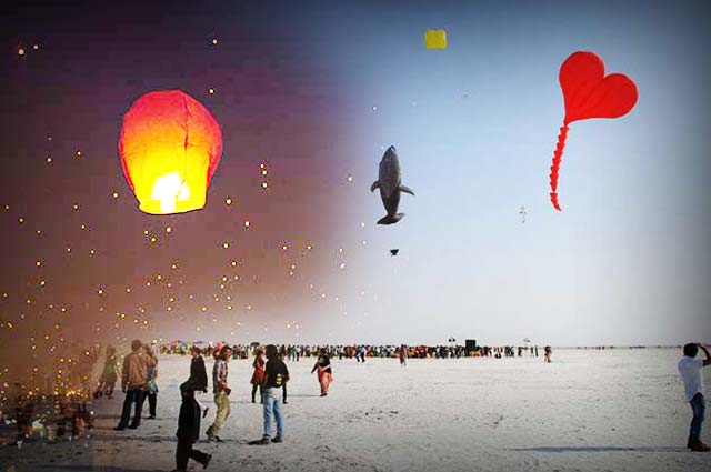 The Colors of Gujarat Kite Festival