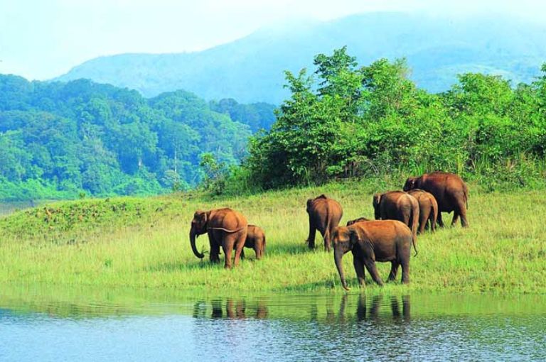 thekkady